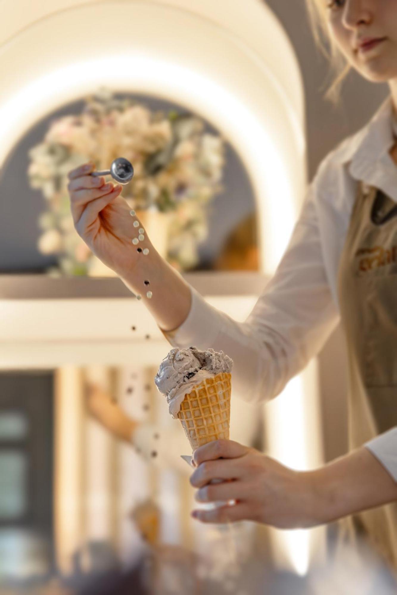 Gradiali Wellness And Palanga